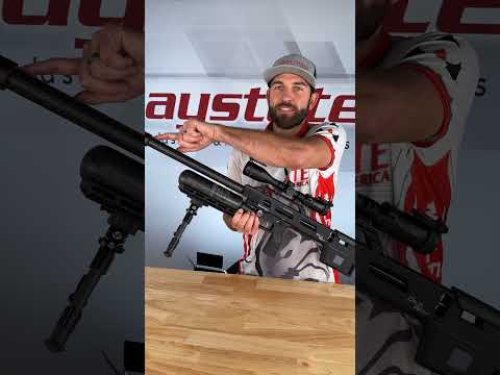 Video post from airgunsofarizona.