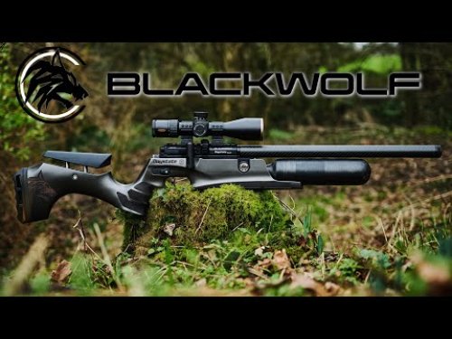 Video post from airgunsofarizona.