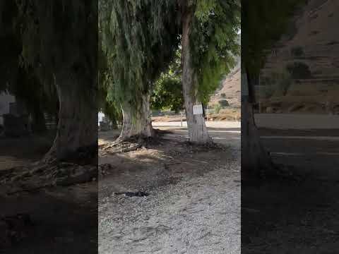 Video post from Yesuah's Love Heals.