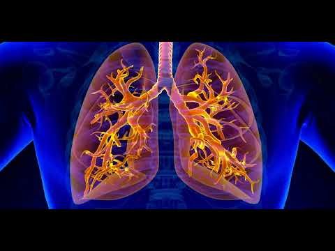 Video post from Lương y Nguyễn Thành Hiếu.