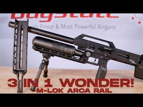 Video post from airgunsofarizona.