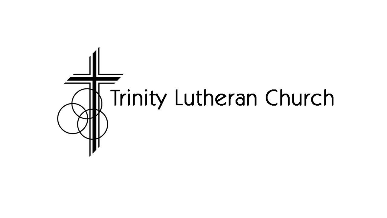 Video post from Trinity Long Lake Live.