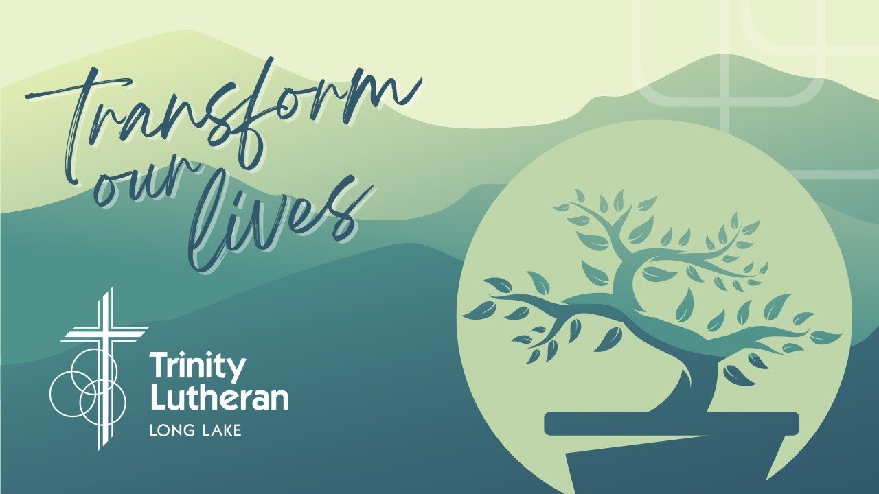 Video post from Trinity Long Lake Live.