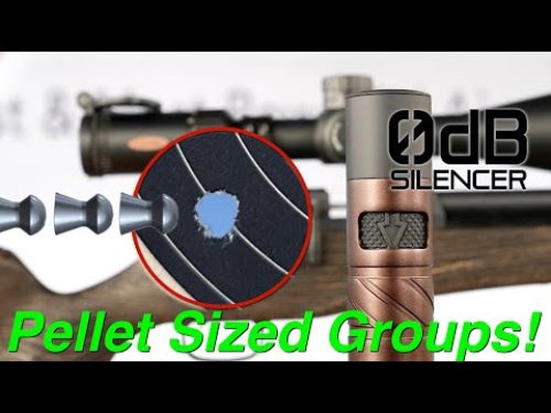 Video post from airgunsofarizona.