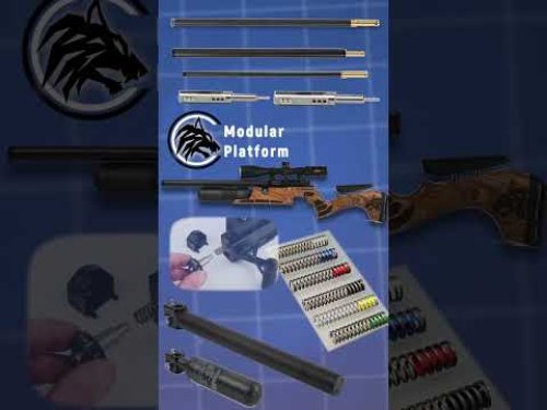 Video post from airgunsofarizona.