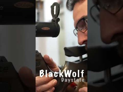 Video post from airgunsofarizona.