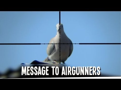 Video post from airgunsofarizona.