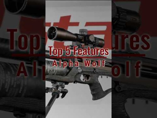 Video post from airgunsofarizona.