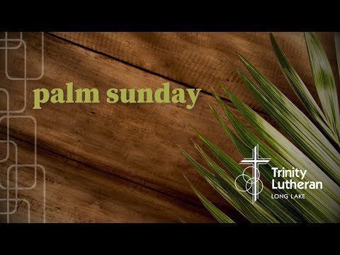 Video post from Trinity Long Lake Live.