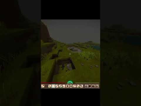 Video post from AgentePera.