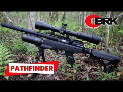 Video post from airgunsofarizona.