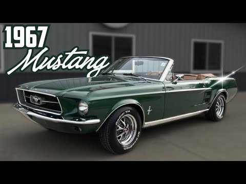 Video post from Coyote Classics.