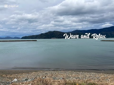 Video post from Youth Water Forum.