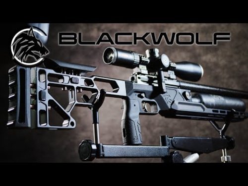 Video post from airgunsofarizona.