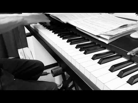 Video post from 猫屋敷夜空　nekoyashiki yosora.