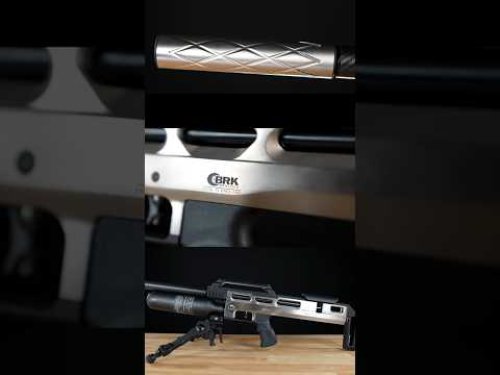 Video post from airgunsofarizona.