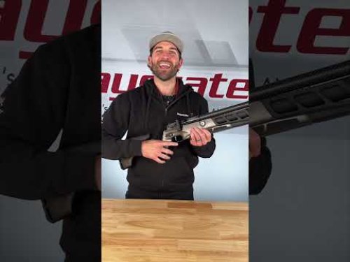 Video post from airgunsofarizona.