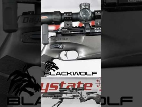 Video post from airgunsofarizona.