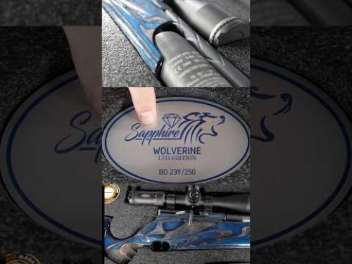 Video post from airgunsofarizona.