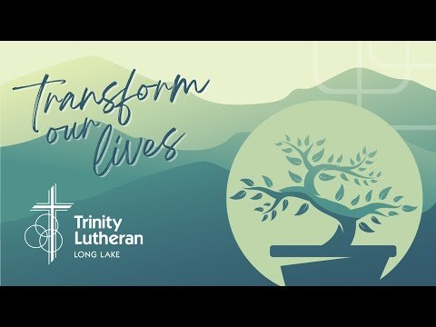 Video post from Trinity Long Lake Live.