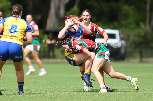 Carousel post from Western Suburbs Rosellas.