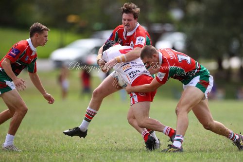 Carousel post from Western Suburbs Rosellas.