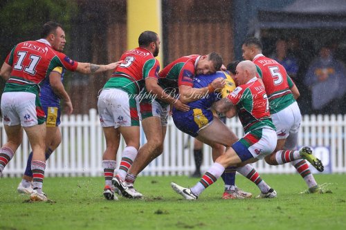 Carousel post from Western Suburbs Rosellas.