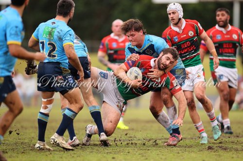 Carousel post from Western Suburbs Rosellas.