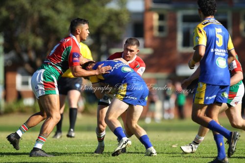 Carousel post from Western Suburbs Rosellas.