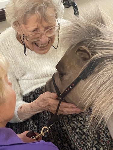 Carousel post from Stanley Park Care Home.