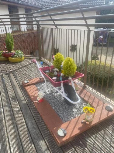 Carousel post from Stanley Park Care Home.