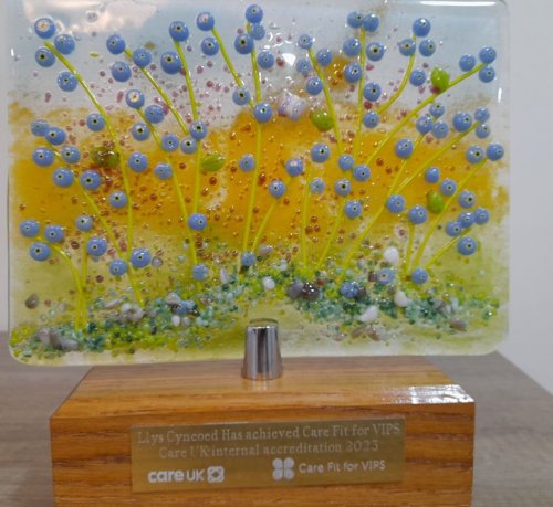 Photo post from Llys Cyncoed Care Home.