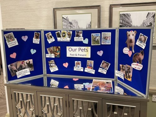 Photo post from Llys Cyncoed Care Home.
