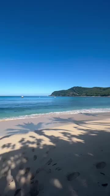 Video post from Octopus Resort, Fiji.
