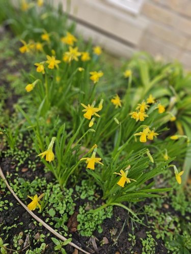 Carousel post from Salisbury Manor Care Home.
