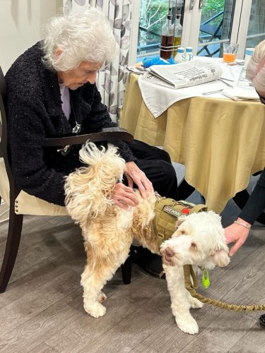 Carousel post from Salisbury Manor Care Home.