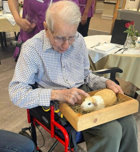 Carousel post from Salisbury Manor Care Home.