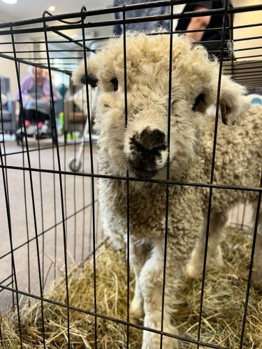 Carousel post from Salisbury Manor Care Home.