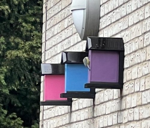 Photo post from Salisbury Manor Care Home.