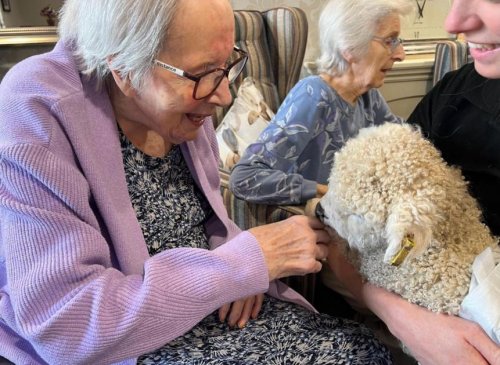 Photo post from Salisbury Manor Care Home.