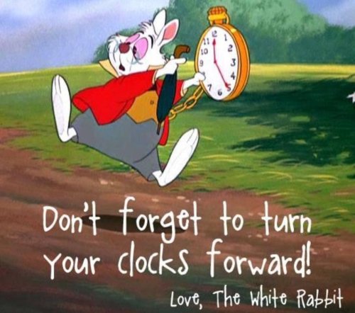 Photo post from Salisbury Manor Care Home.