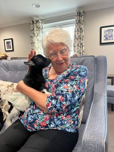 Carousel post from Salisbury Manor Care Home.