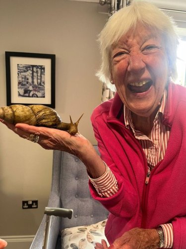 Carousel post from Salisbury Manor Care Home.