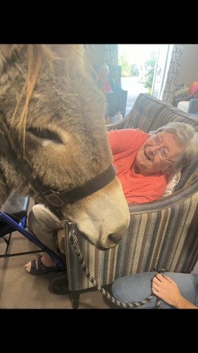 Video post from Salisbury Manor Care Home.