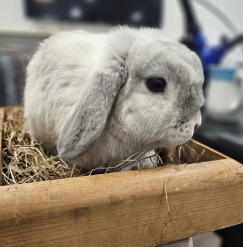 Carousel post from Salisbury Manor Care Home.