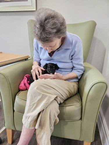 Carousel post from Hollins Park Care Home.
