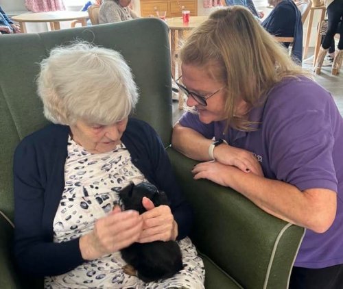 Carousel post from Hollins Park Care Home.