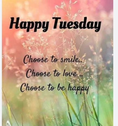 Photo post from Grangewood Care Home.