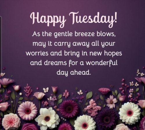 Photo post from Grangewood Care Home.