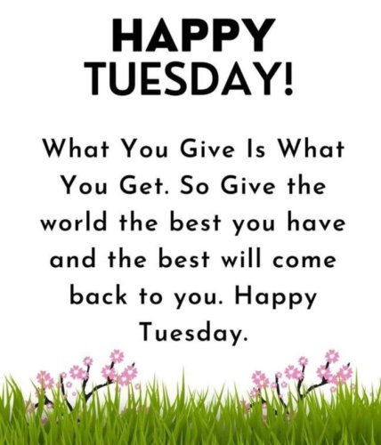 Photo post from Grangewood Care Home.